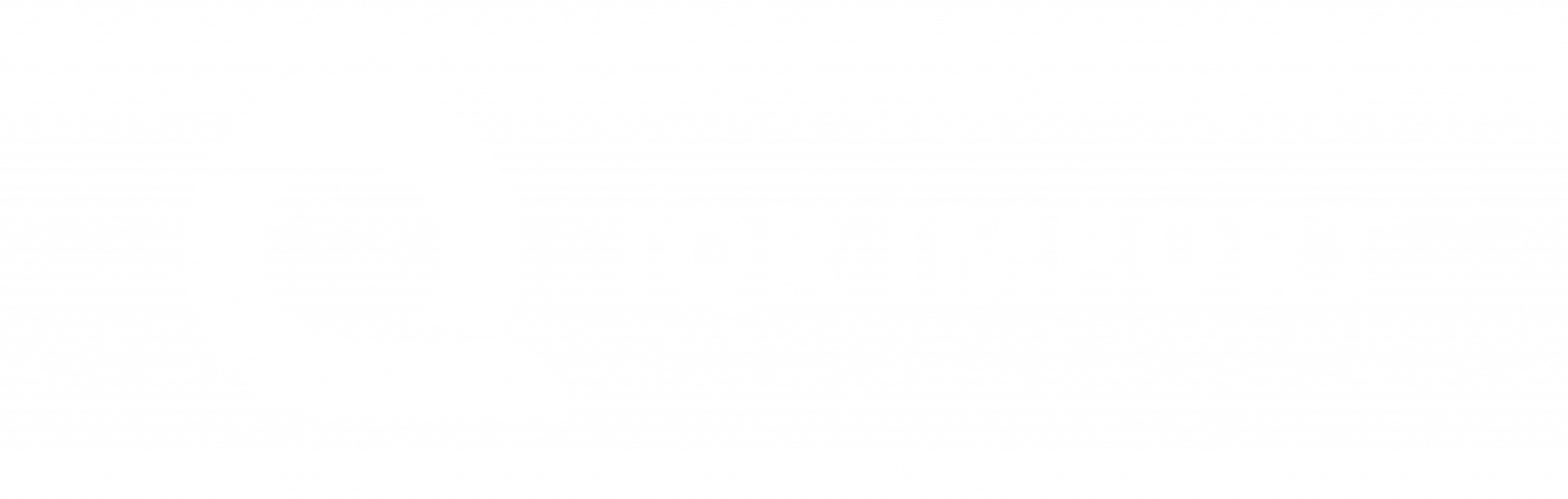 IQR Import logo